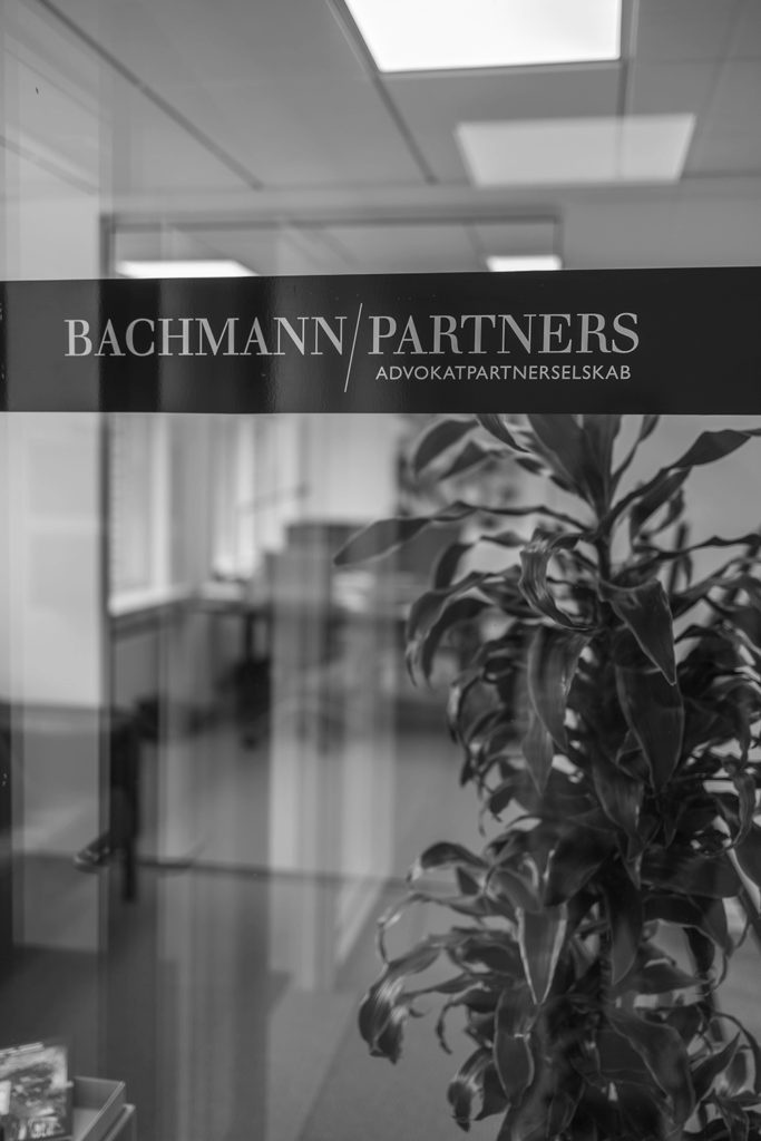 Sort-hvidt billede fra Bachmann/Partners med kontor og grøn plante